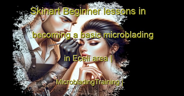 Skinart Beginner lessons in becoming a basic microblading in Eceli area | MicrobladingTraining | MicrobladingClasses | SkinartTraining-Turkey